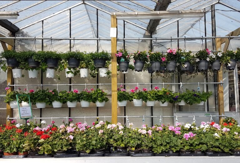 Waarom planten je gelukkiger maken: de kracht van groen in en om het huis