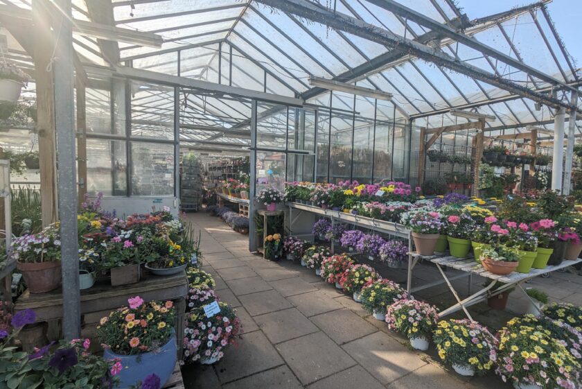 tuincentrum de leeuw