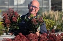 Tuincentrum de Leeuw Marsum (7)