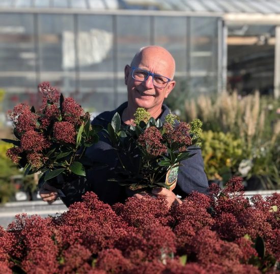 Tuincentrum de Leeuw Marsum (7)