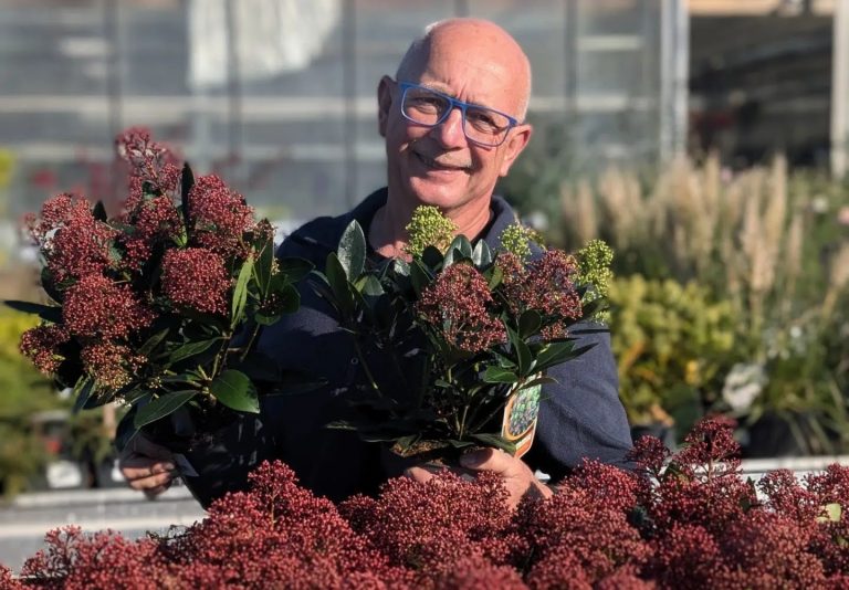 Tuincentrum de Leeuw Marsum (7)