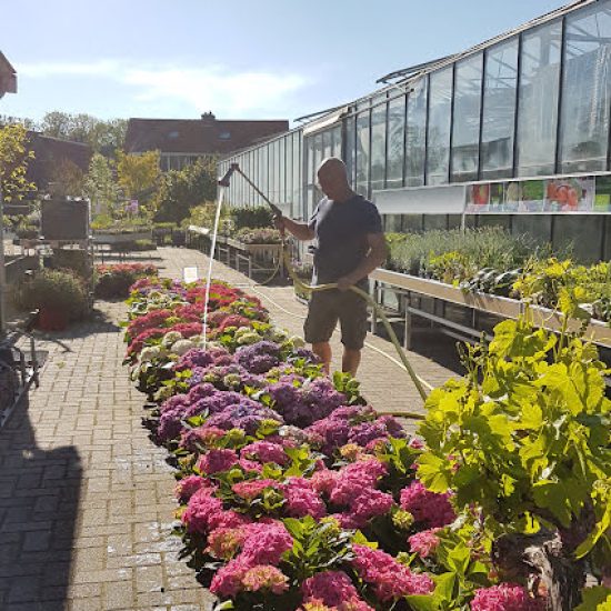 Tuincentrum de Leeuw Marsum (9)