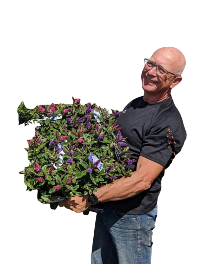 Tuincentrum de Leeuw